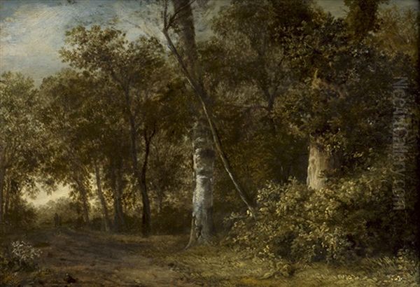 Waldlandschaft - view 1
