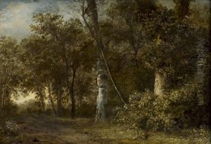 Waldlandschaft by Jan Looten