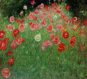 Papaver-bed Papaver-bed