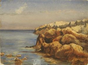 Les Rocheers En Bord De Mer