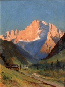Paysage Alpestre, Sommet Des Alpes