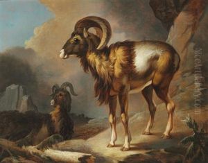 Two Rams On A Rocky Overhang
