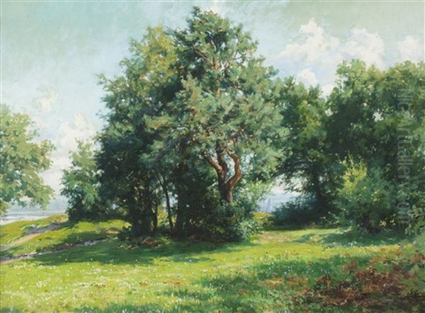 Trees By A River - view 1