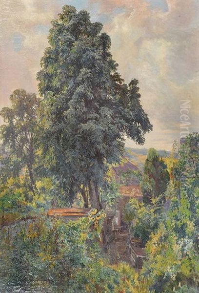 A Summer Garden - view 1