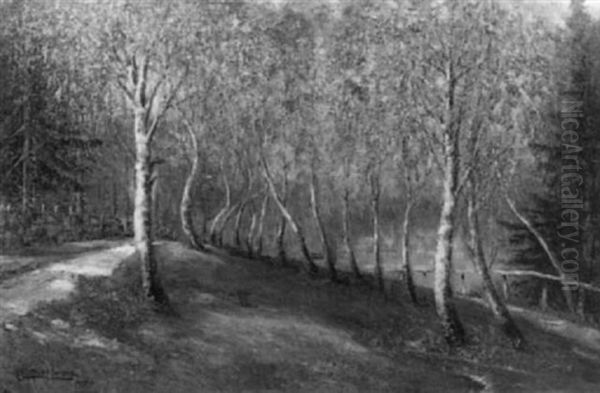 Birken - view 1