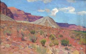 Desert View