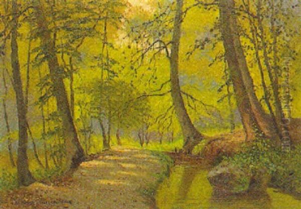 Sonniger Waldweg Am Ratzeburger See - view 1