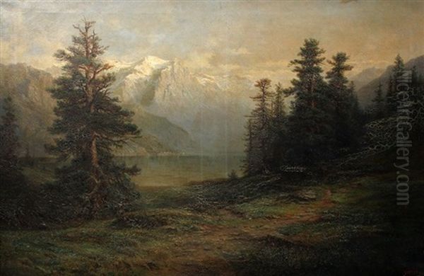 Vue Du Mont-blanc - view 1