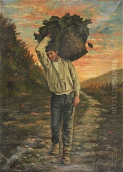 Campesino - view 1