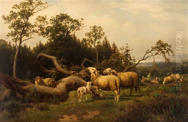 Grazing Sheep - view 1