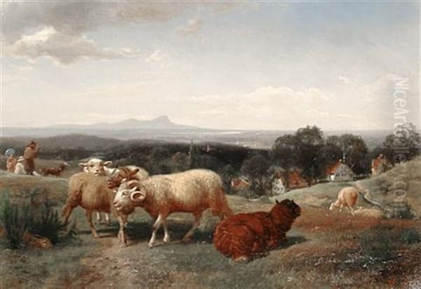 Sheep Grazing In A Meadow - view 1