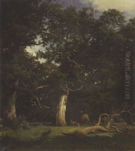 Waldlichtung Mit Rotwild Waldlichtung Mit Rotwild