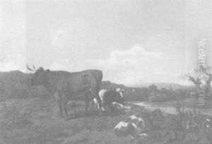 Niederrheinische Landschaft Mit Weidevieh Im Vordergrund