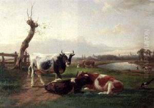 Watering Cows Watering Cows