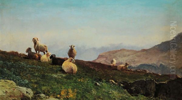 Gregge Al Pascolo - view 1