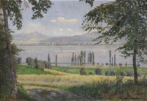 Sommerlandschaft Am Bodensee - view 1