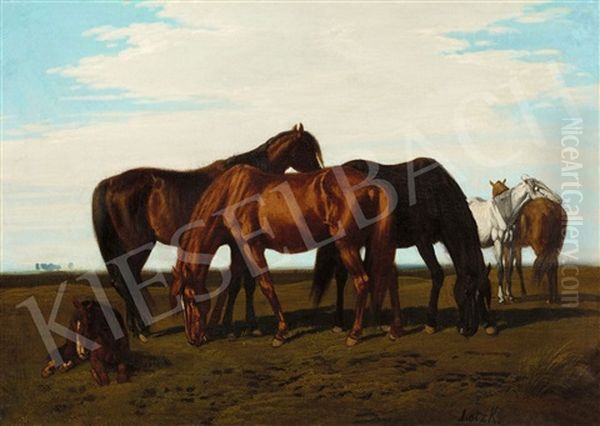 Great Plane With Horses - view 1