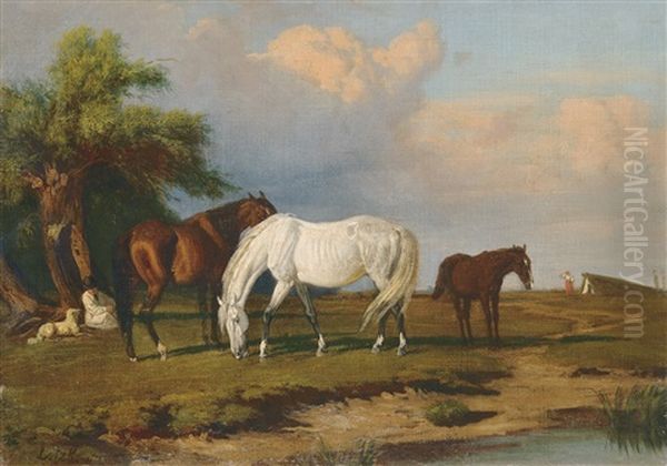 Stud-farm - view 1