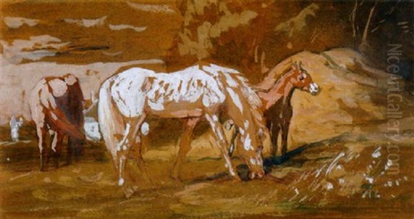 Lovak (horses) - view 1