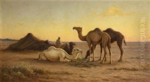 Camels Grazing At A Camp, Biskra, Egypt by Matilda Lotz
