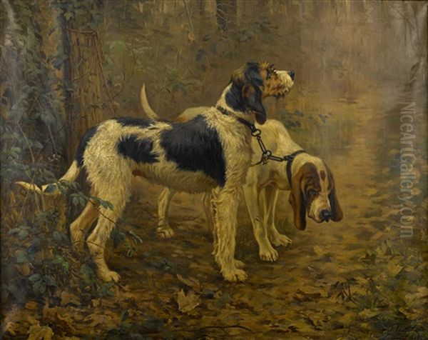 Russian Bloodhounds - view 1