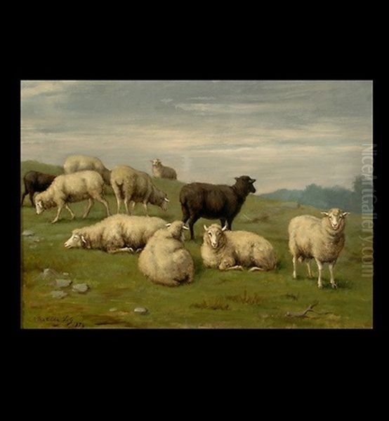 Sheep In A Meadow - view 1