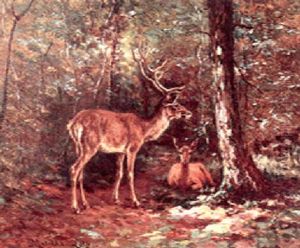 Deer In The Woods Deer In The Woods