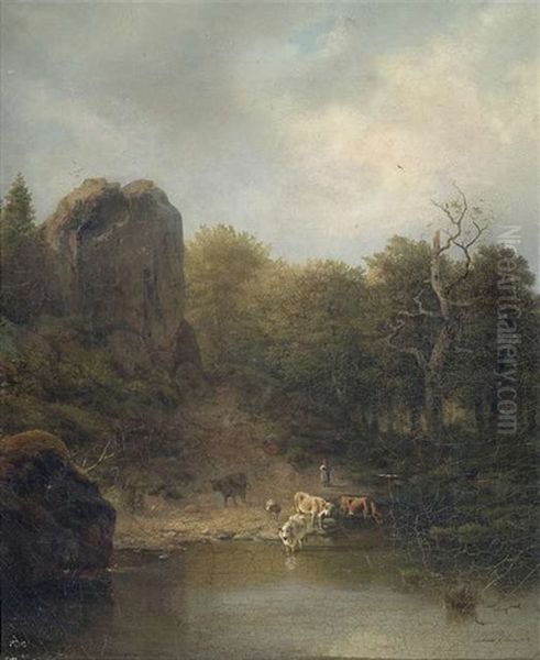 Rinderherde An Einem Gewasser - view 1