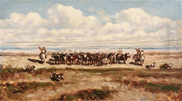 Manade En Camargue - view 1