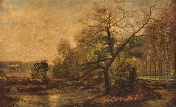 Paysage - view 1