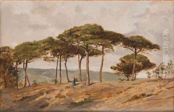Paysage Aux Grands Pins - view 1