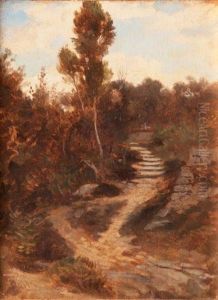 Paysage Paysage