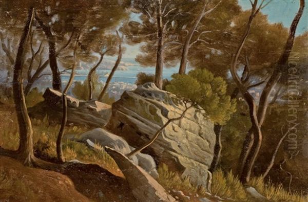 Paysage Provencal De Bord De Mer (+ Village Meridional; Double-sided) - view 1