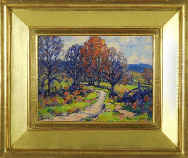 Autumnal Landscape With Country Path - view 1