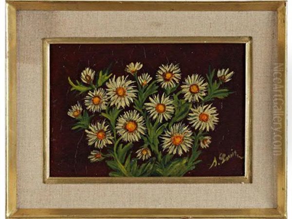 Marguerites - view 1