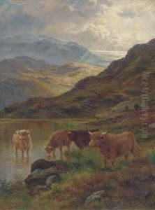 Cattle Watering In A Highland Landscape Cattle Watering In A Highland Landscape