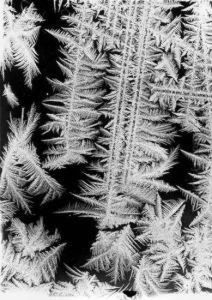 Photographs Of Frost