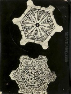 Snowcrystals by Wilson Alwyn Bentley