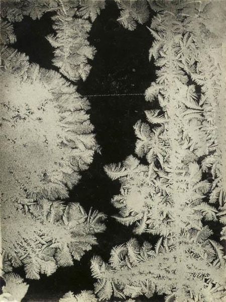 Windowpane Frost Studies - view 1