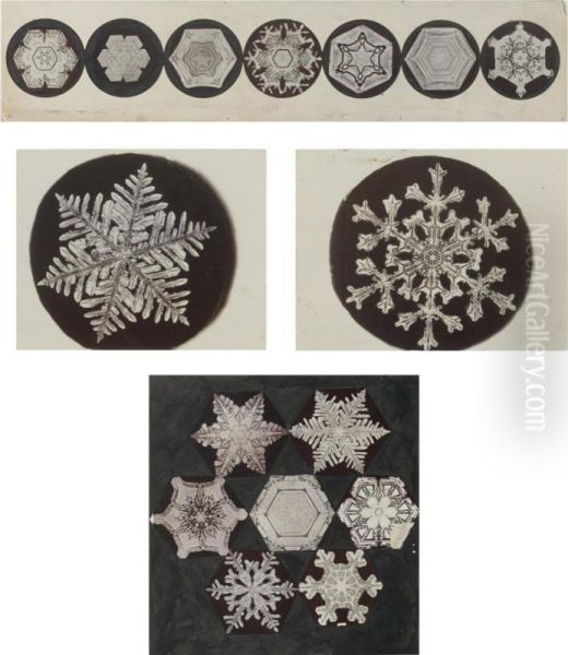 Selected Images Of Snowflakes - view 1