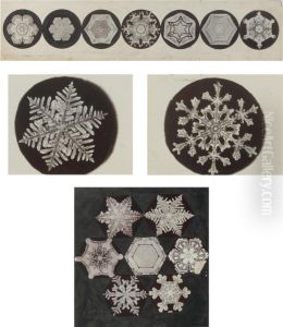 Selected Images Of Snowflakes by Wilson Alwyn Bentley