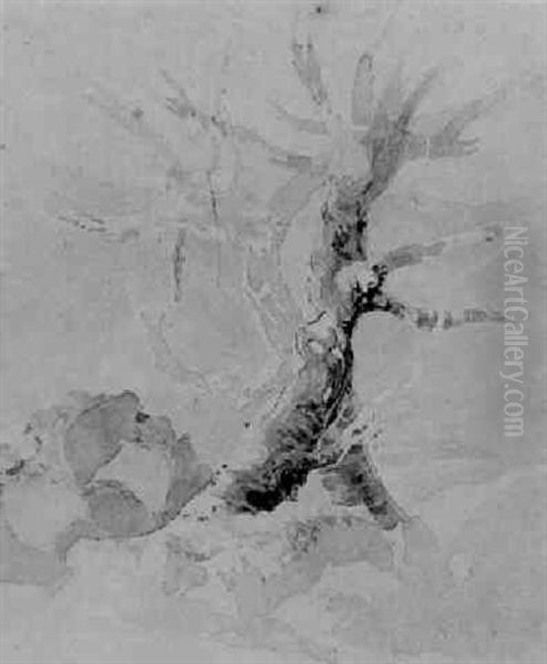 A Blasted Tree In A Rocky Landscape - view 1