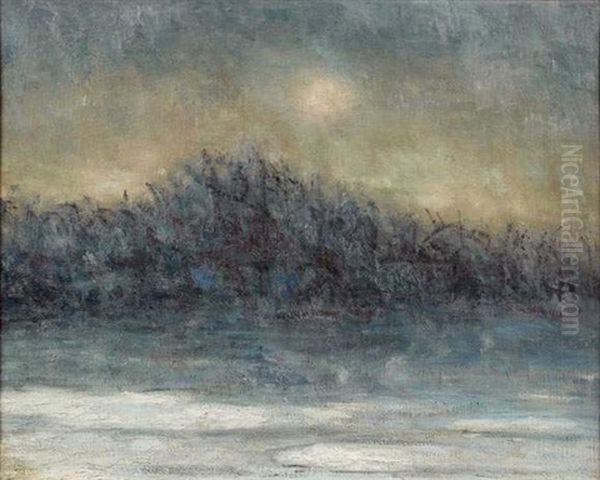 La Seine Gelee - view 1