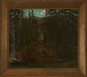 Forest Scene From Norway by Hans Lovaas