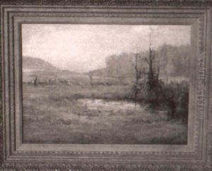 Meadow Land