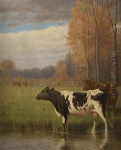 Cows In A Pastoral Autumn Landscape Cows In A Pastoral Autumn Landscape