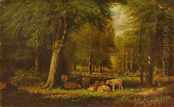 Sheep In A Woodland Pasture - view 1