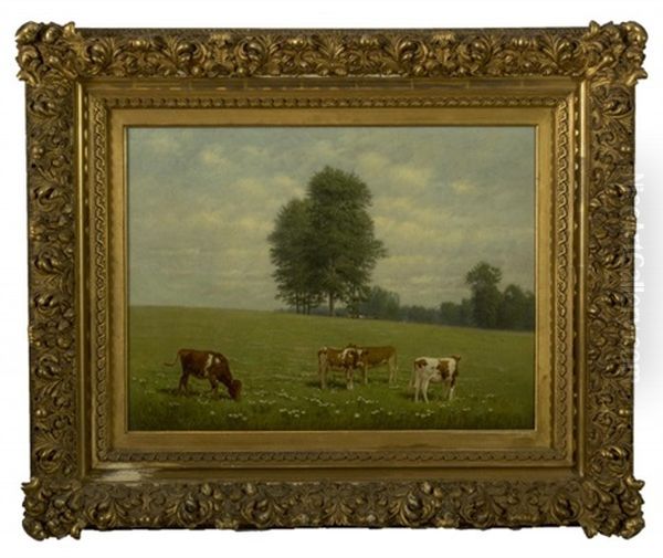 Cows In A Summer Pasture - view 1
