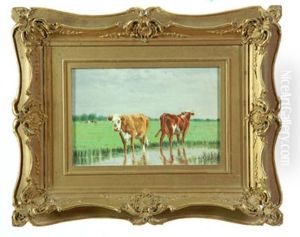 Two Cows In A Stream Two Cows In A Stream