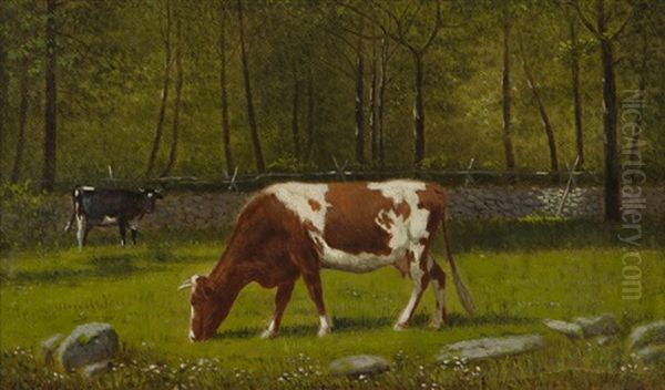 Grazing Cattle - view 1